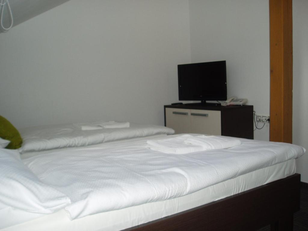 Hotel Kaskada Ledeč nad Sázavou Cameră foto